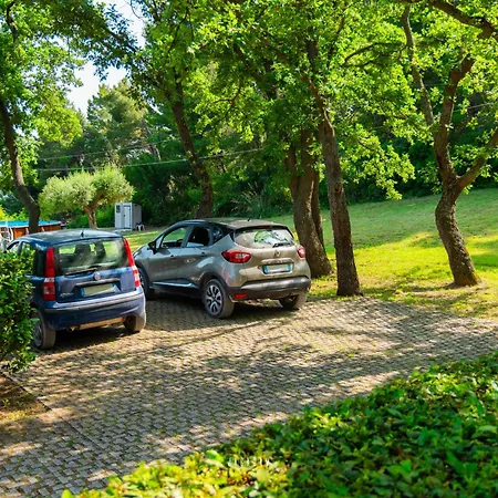 Bed & Breakfast Sibilla Sirolo